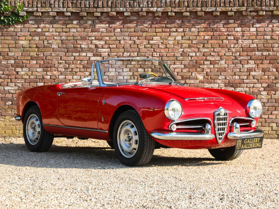 Image 13/50 of Alfa Romeo Giulia 1600 Spider (1963)