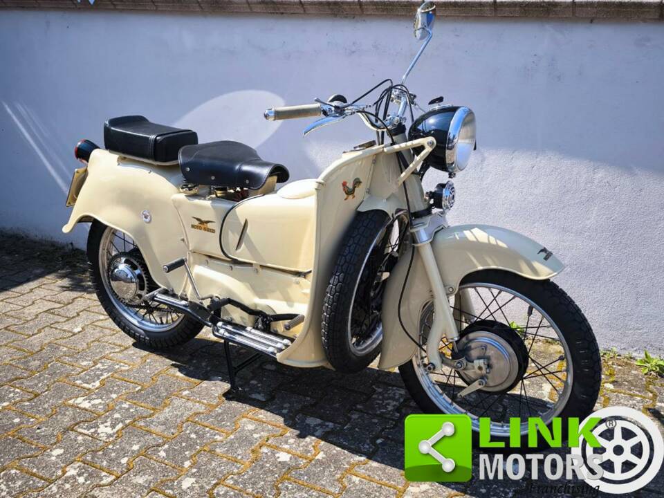 Bild 3/10 von Moto Guzzi DUMMY (1957)
