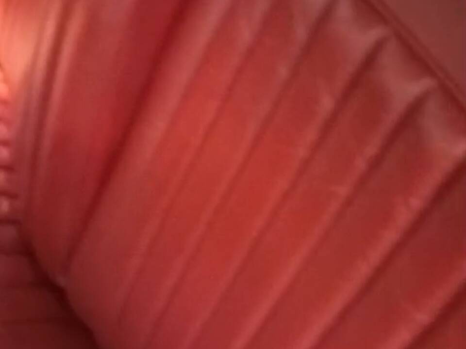 Image 6/6 of Jaguar 340 (1968)