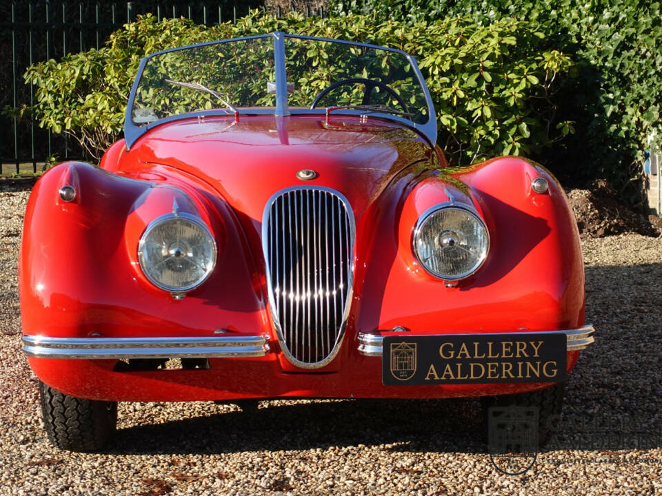 Image 12/50 of Jaguar XK 120 OTS (1954)