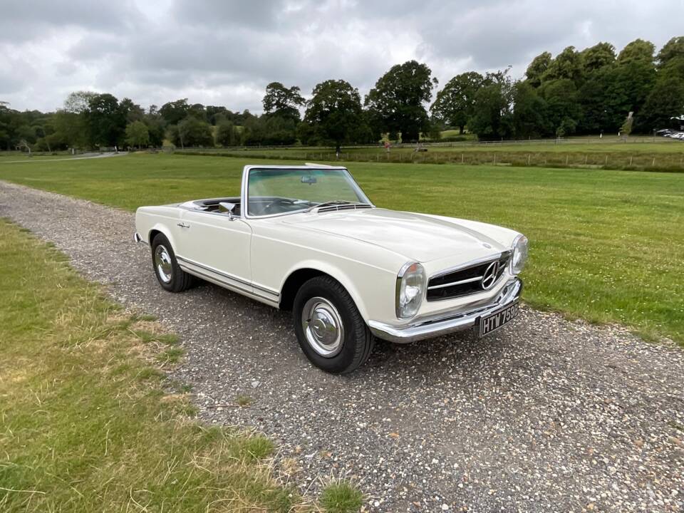 Bild 1/37 von Mercedes-Benz 230 SL (1964)