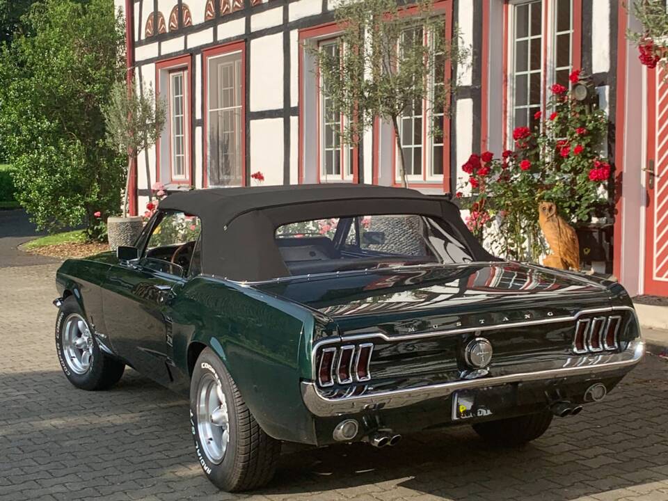 Immagine 14/16 di Ford Mustang 302 (1967)