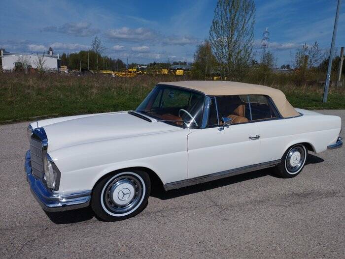 Bild 6/7 von Mercedes-Benz 220 SE b (1962)