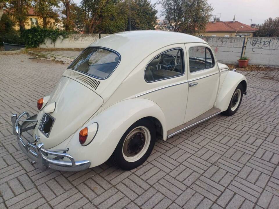 Bild 3/36 von Volkswagen Käfer 1200 Standard "Dickholmer" (1963)