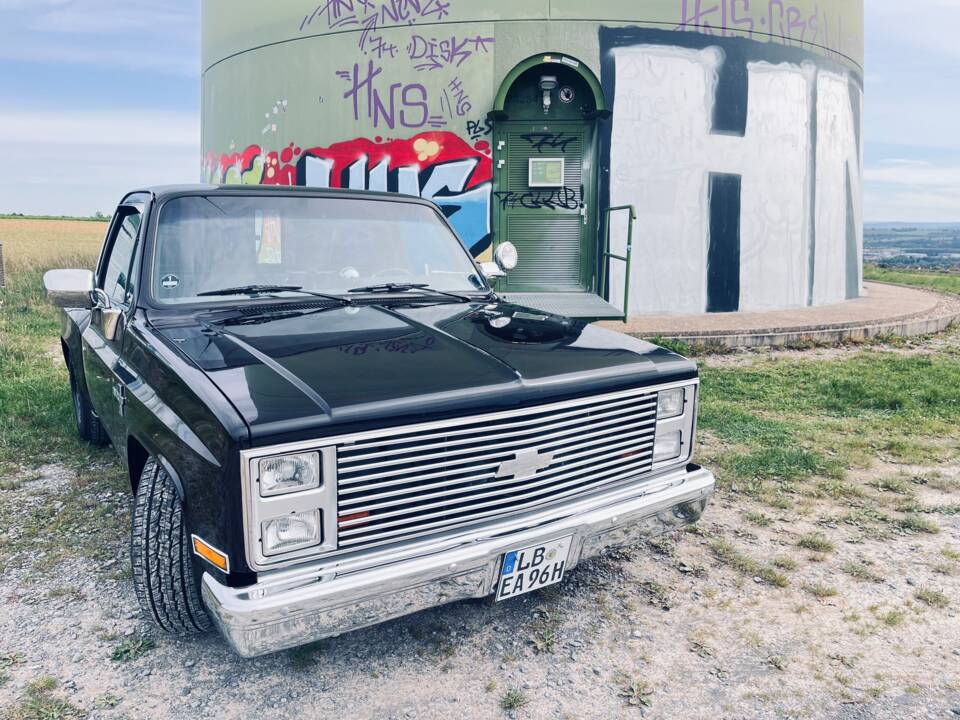 Bild 3/19 von Chevrolet C10 Stepside (1987)