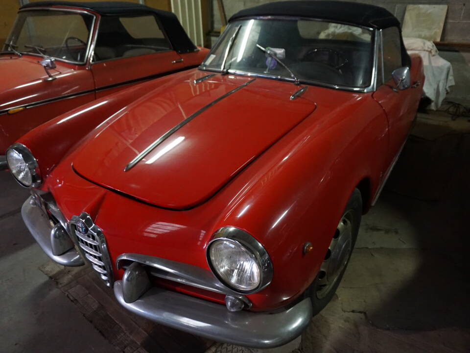 Bild 3/28 von Alfa Romeo Giulietta Spider (1961)