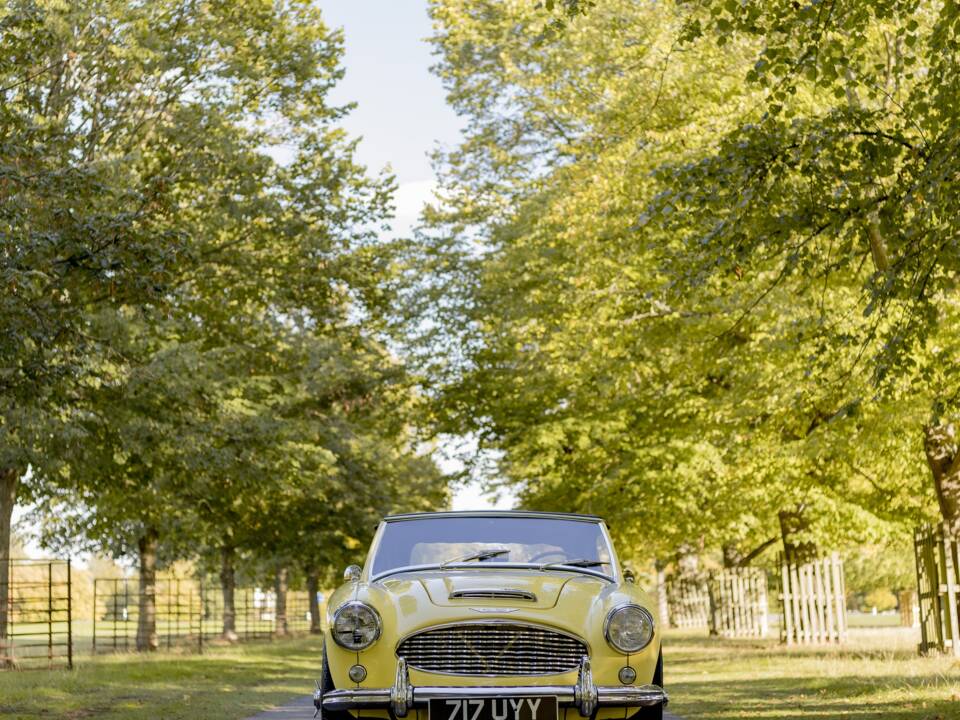 Bild 7/50 von Austin-Healey 3000 Mk I (BT7) (1960)