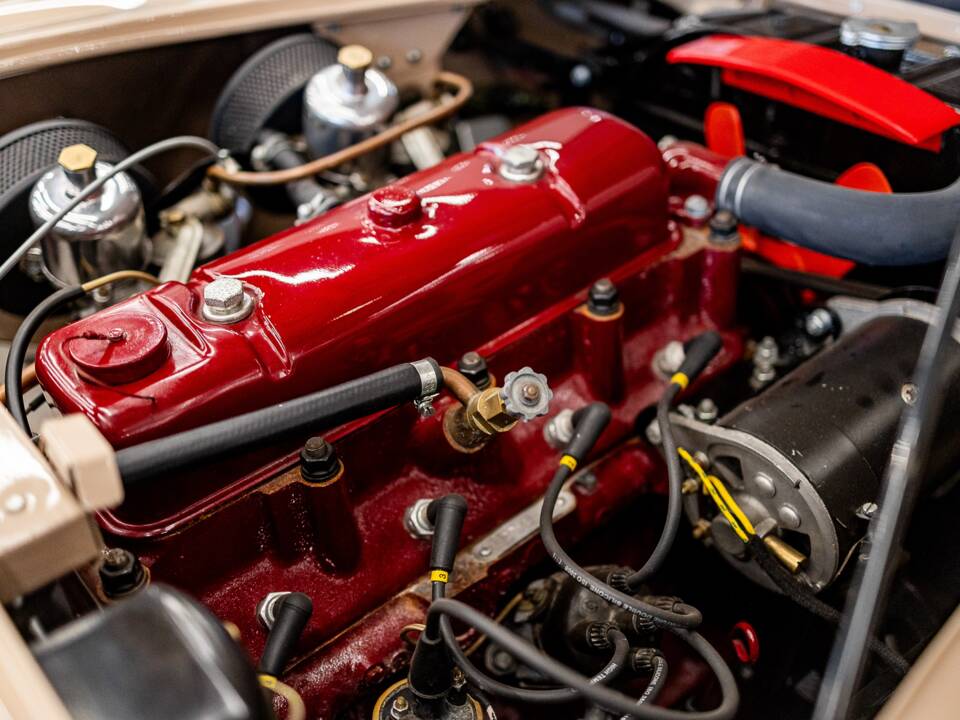 Immagine 38/50 di Austin-Healey 100/4 (BN1) (1954)