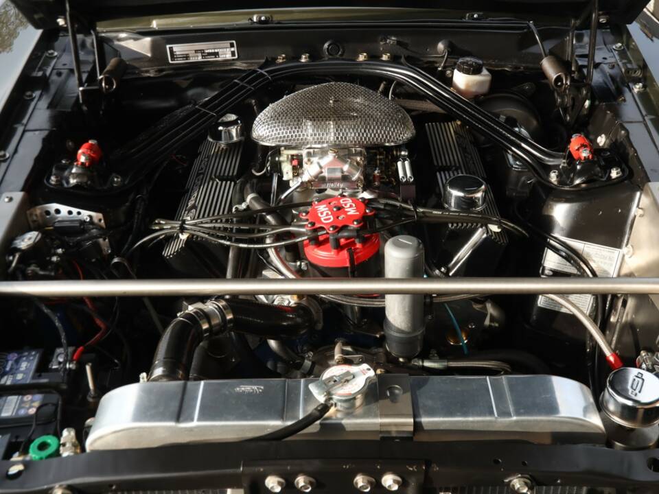Image 31/50 of Ford Shelby GT 500 (1969)