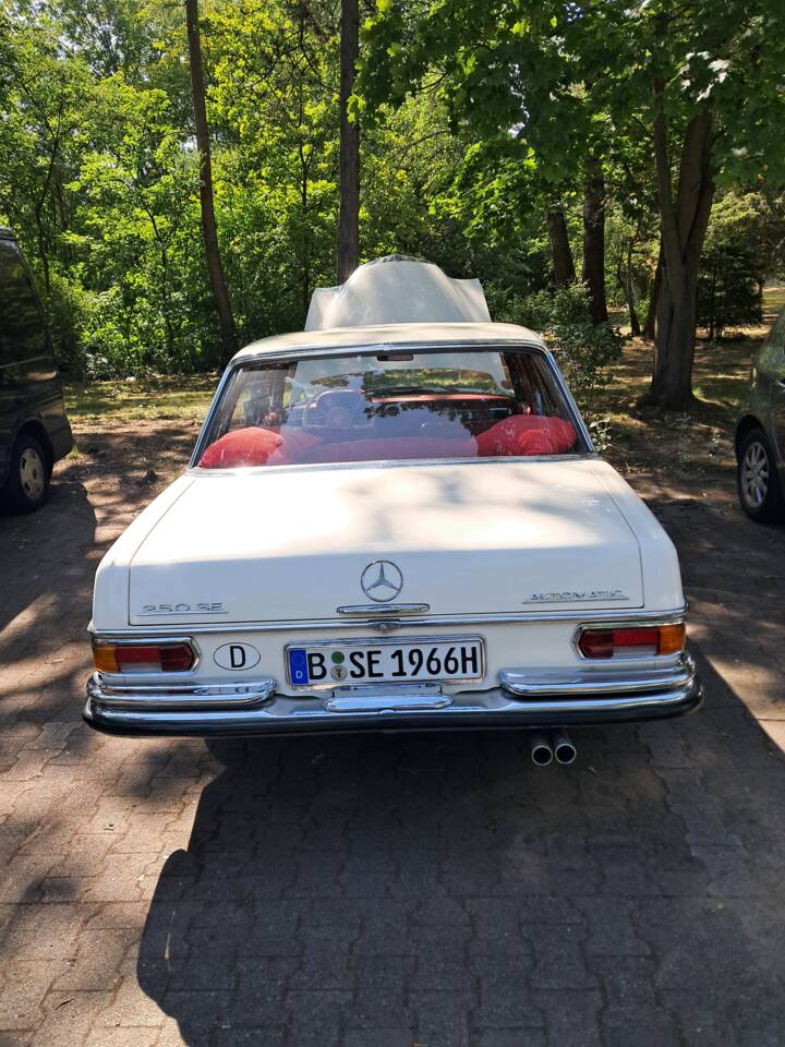 Afbeelding 5/12 van Mercedes-Benz 250 SE (1966)
