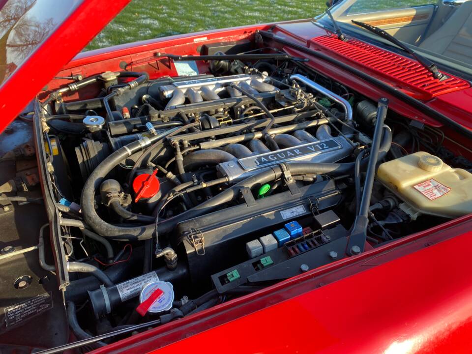 Image 19/30 of Jaguar XJS 5.3 V12 (1992)