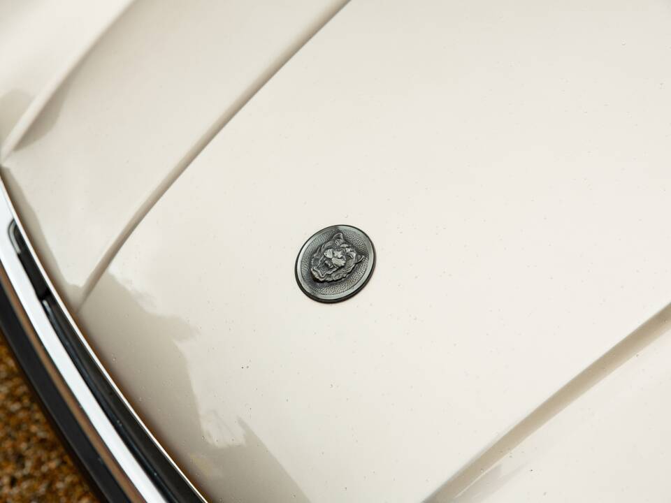 Immagine 11/40 di Jaguar XJ-S 3.6 (1988)