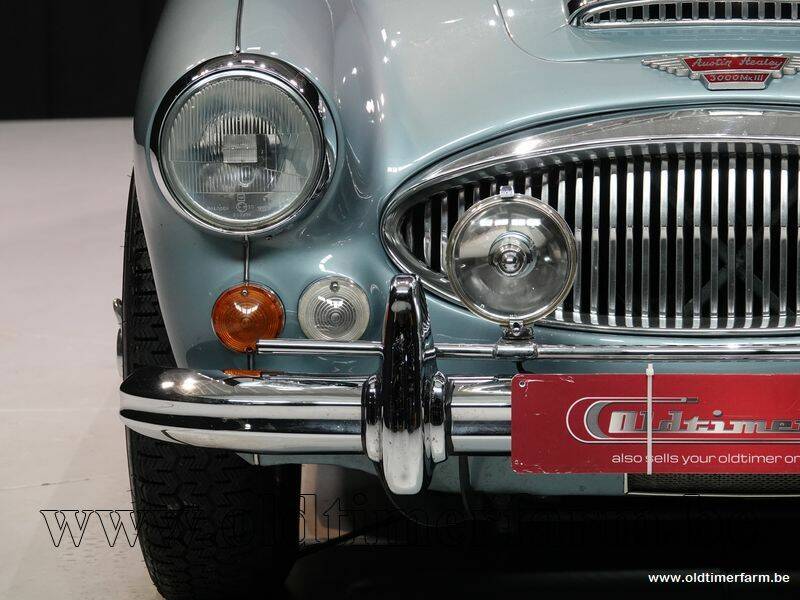 Immagine 12/15 di Austin-Healey 3000 Mk III (BJ8) (1967)