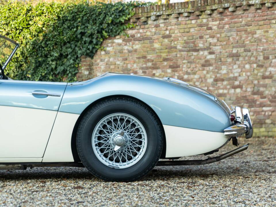 Bild 25/50 von Austin-Healey 3000 Mk I (BN7) (1960)