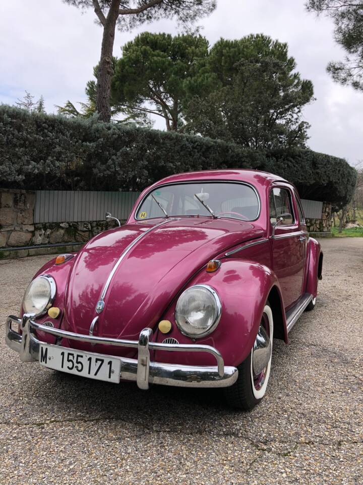 Imagen 15/15 de Volkswagen Käfer 1200 Standard &quot;Ovali&quot; (1956)