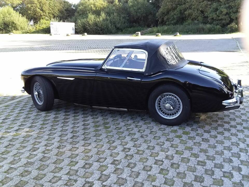 Imagen 7/8 de Austin-Healey 100/6 (BN6) (1958)