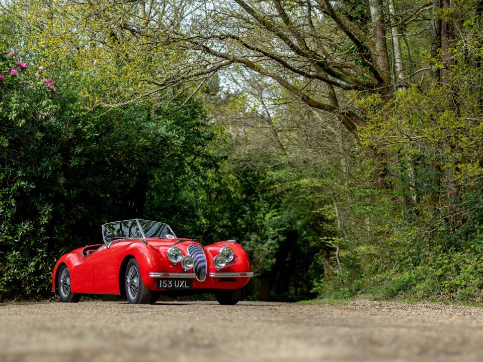 Image 35/50 of Jaguar XK 120 OTS (1950)