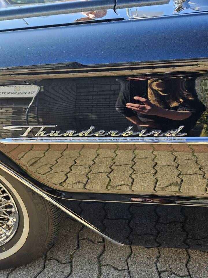 Image 22/24 of Ford Thunderbird (1964)