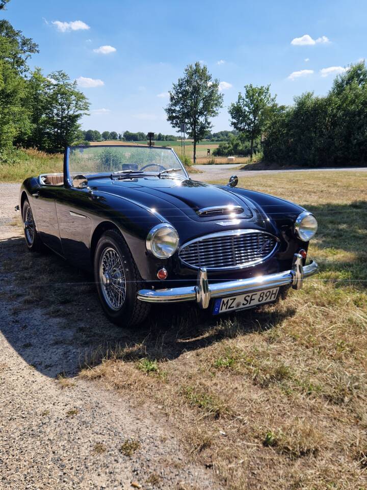 Bild 6/14 von Austin-Healey 3000 Mk I (BT7) (1961)