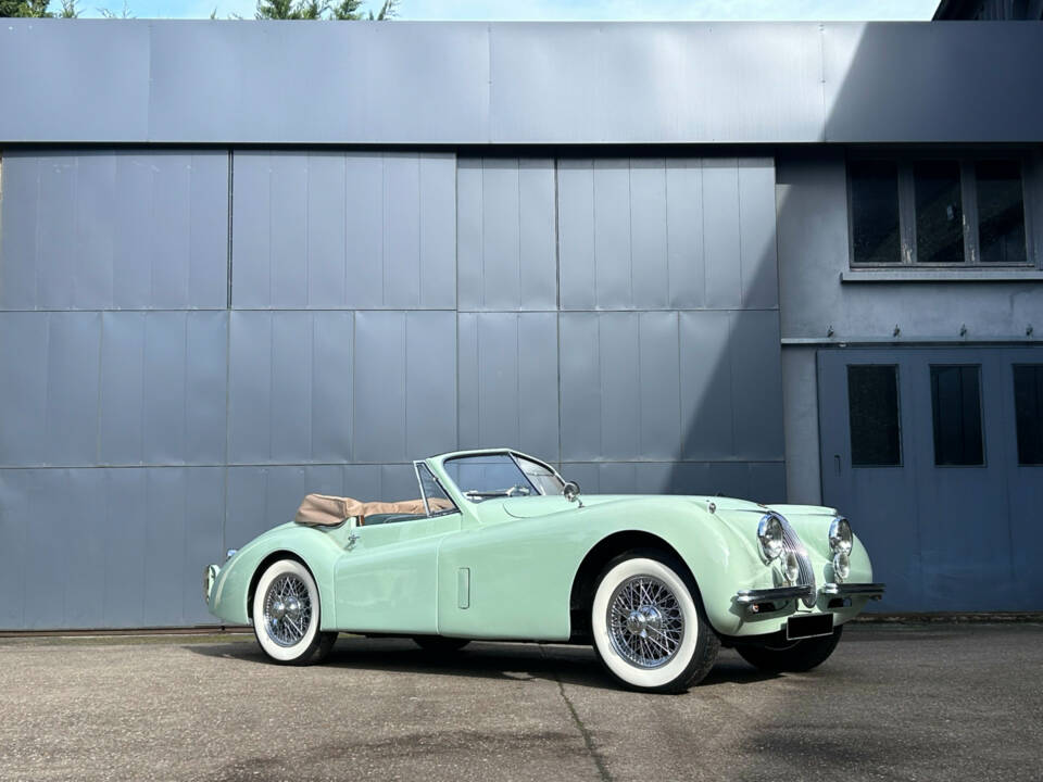 Image 6/24 of Jaguar XK 120 DHC (1953)