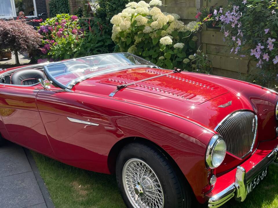 Image 4/56 of Austin-Healey 100&#x2F;4 (BN1) (1955)