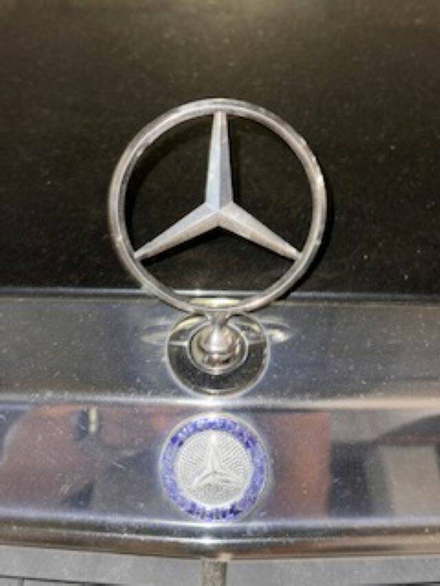 Afbeelding 54/74 van Mercedes-Benz 220 TE (1993)