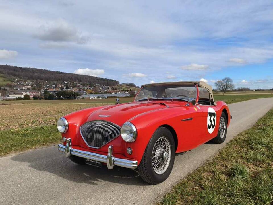 Imagen 5/24 de Austin-Healey 100/4 (BN1) (1955)