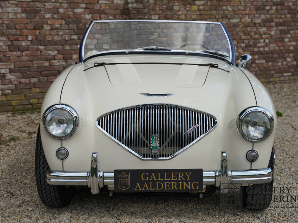 Immagine 44/50 di Austin-Healey 100&#x2F;4 (BN1) (1954)