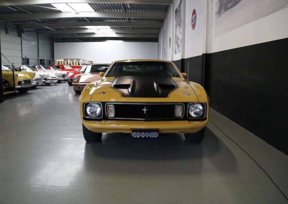 Image 19/50 of Ford Mustang Mach 1 (1973)