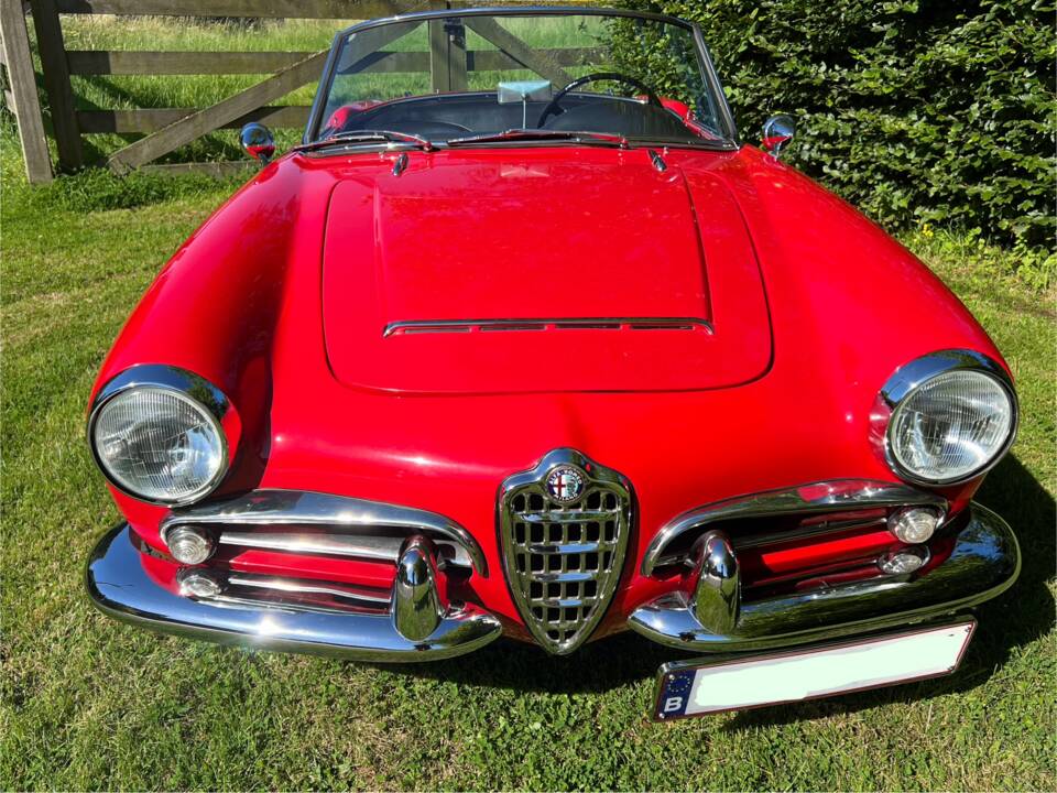 Immagine 81/85 di Alfa Romeo Giulia 1600 Spider Veloce (1964)