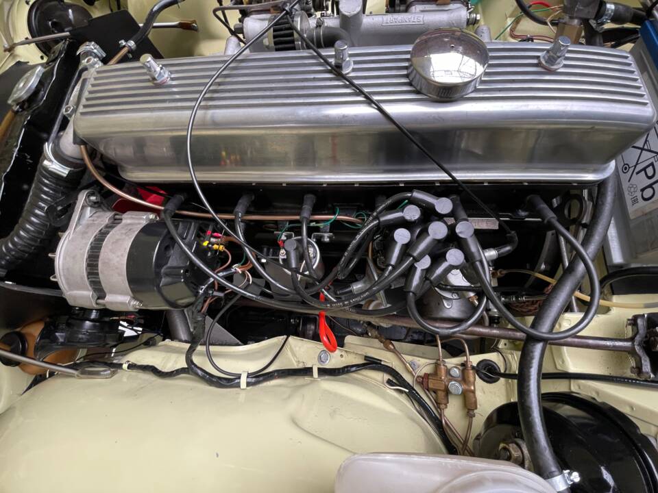 Afbeelding 24/39 van Triumph TR 250 (1967)