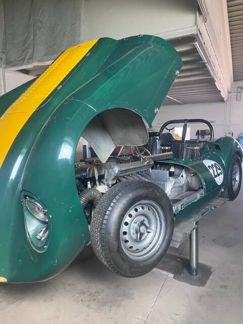 Bild 53/80 von Lister Knobbly (1956)