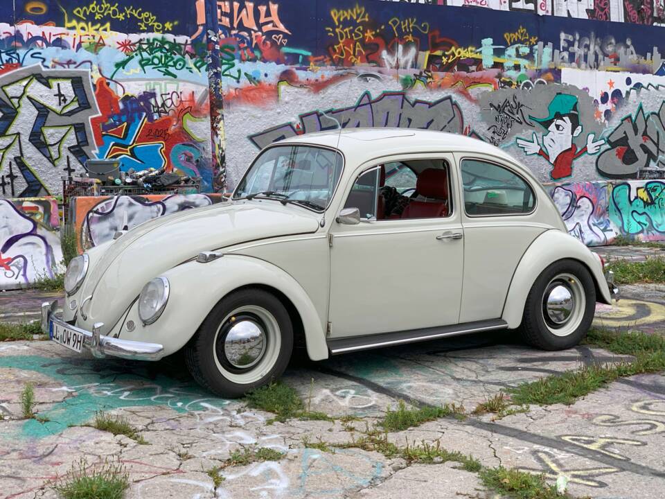 Bild 36/56 von Volkswagen Käfer 1300 (1968)