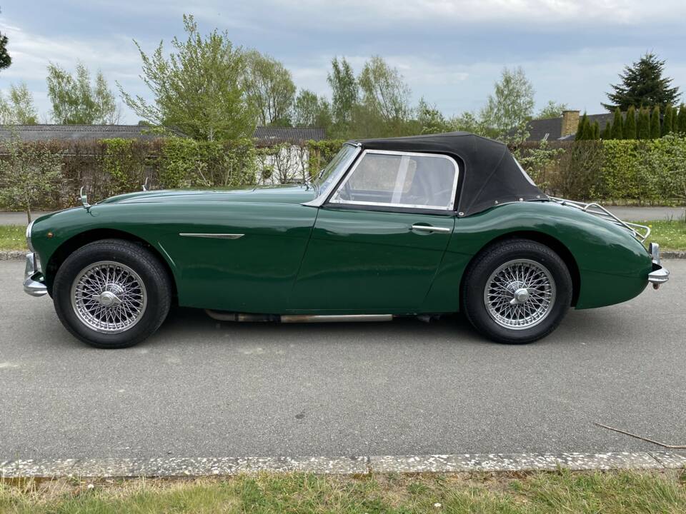 Bild 2/24 von Austin-Healey 100/6 (BN4) (1959)