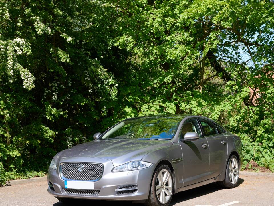 Bild 24/50 von Jaguar XJ 5.0 (2012)