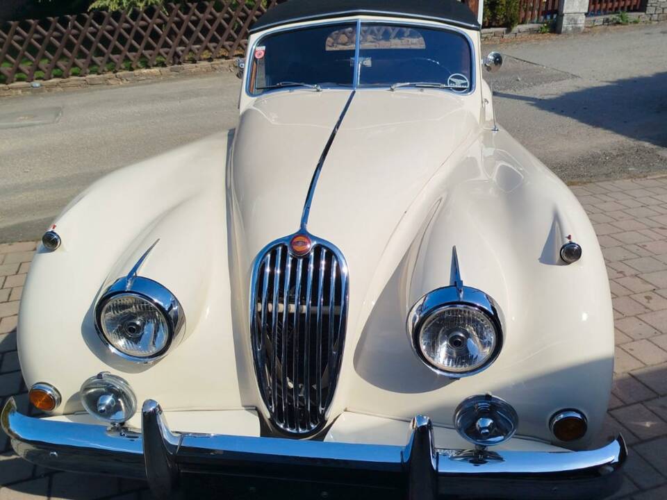 Immagine 7/74 di Jaguar XK 140 SE DHC (1955)