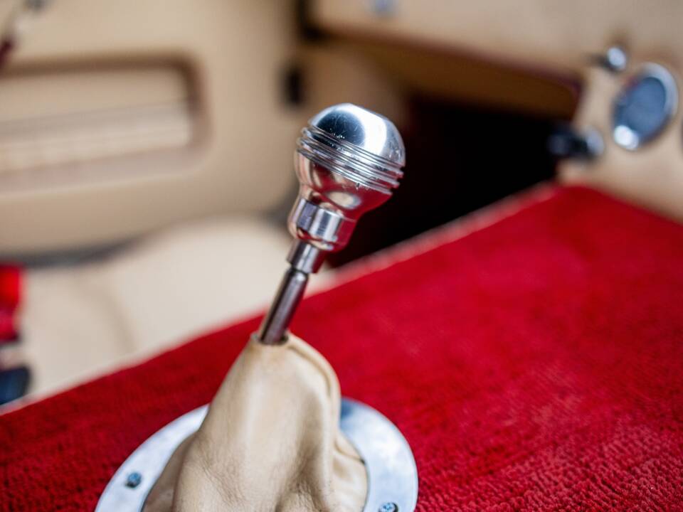 Afbeelding 48/50 van AC Cobra 289 (2000)