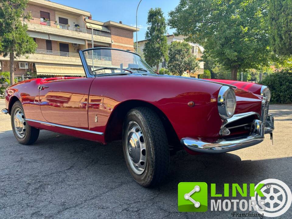 Image 6/10 of Alfa Romeo Giulietta Spider Veloce (1959)
