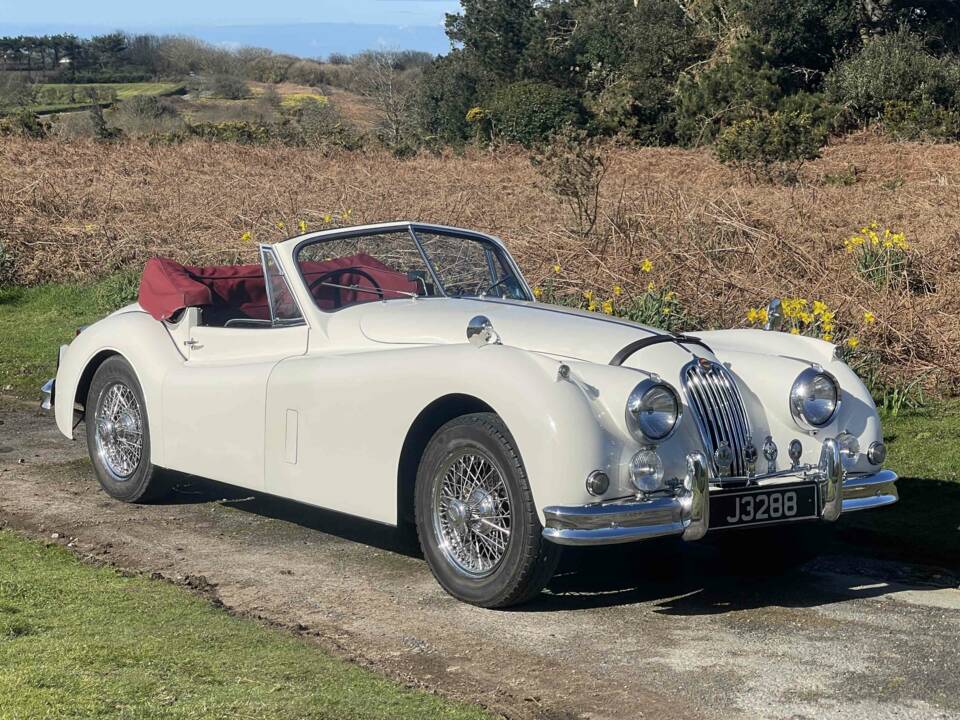 Bild 5/12 von Jaguar XK 140 SE DHC (1955)