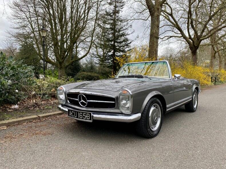 Afbeelding 5/50 van Mercedes-Benz 280 M-SL (1964)
