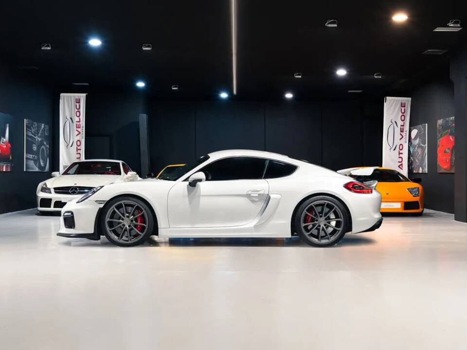 Afbeelding 8/36 van Porsche Cayman GT4 (2016)