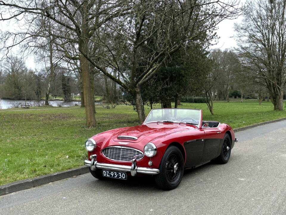 Image 1/26 de Austin-Healey 100&#x2F;6 (BN4) (1959)