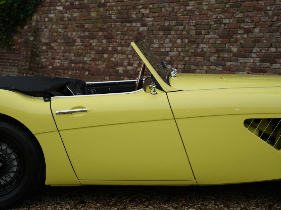 Bild 39/50 von Austin-Healey 3000 Mk I (BN7) (1960)
