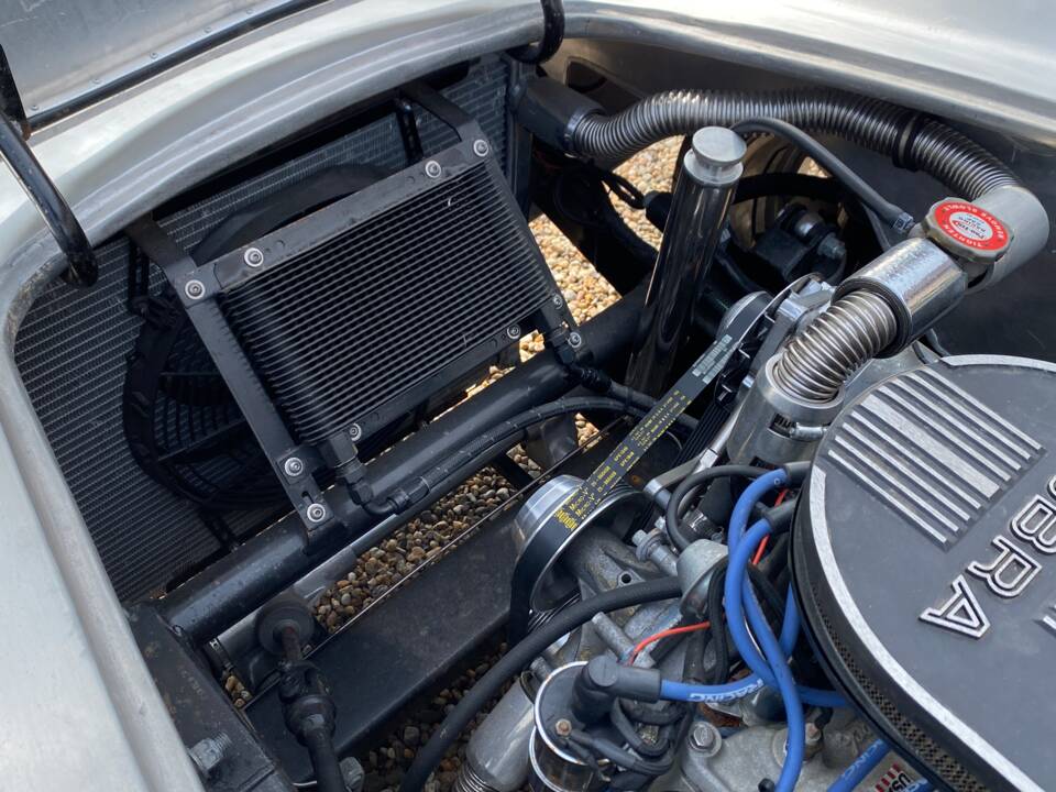 Immagine 19/27 di AC Cobra 427 (1967)