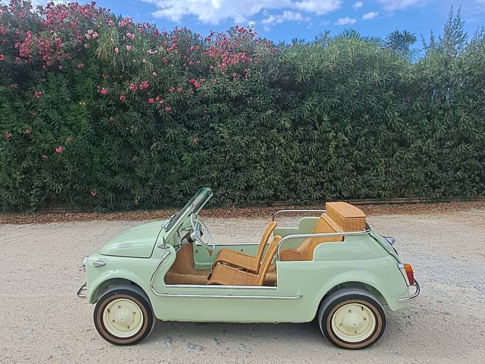 Image 27/73 of FIAT Ghia 500 Jolly (1970)