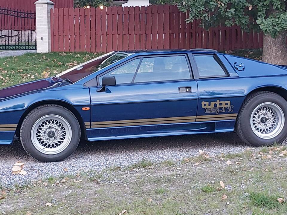 Imagen 6/16 de Lotus Esprit Turbo (1982)