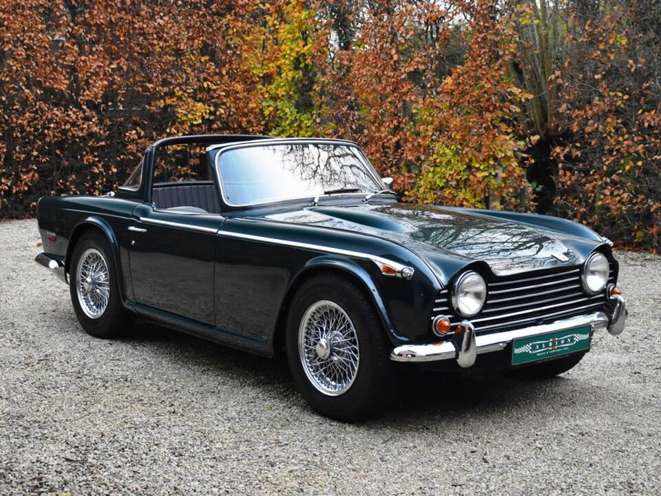 Image 9/29 of Triumph TR 5 PI (1968)