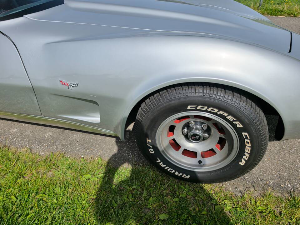 Bild 14/37 von Chevrolet Corvette 5.0L (1979)