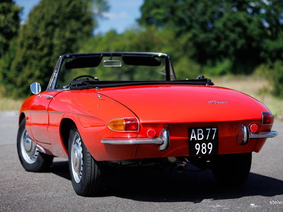 Afbeelding 7/37 van Alfa Romeo 1600 Spider Duetto (1966)
