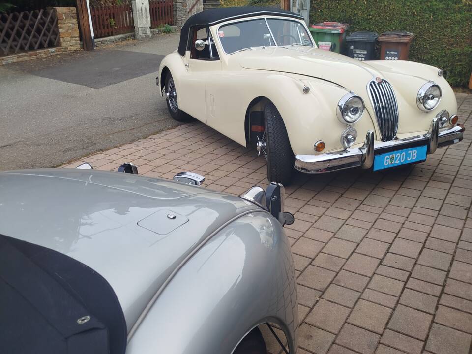 Immagine 8/74 di Jaguar XK 140 SE DHC (1955)